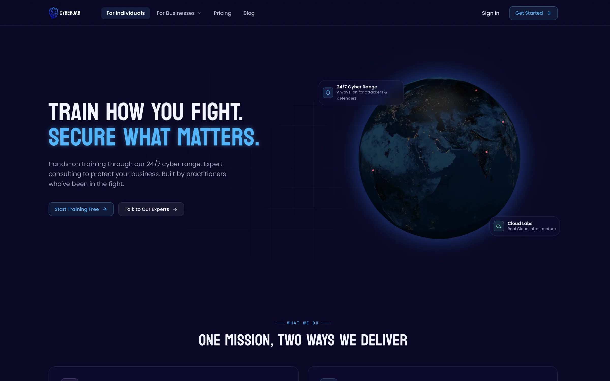CyberJab product screenshot